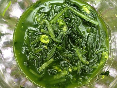 fermented wild garlic